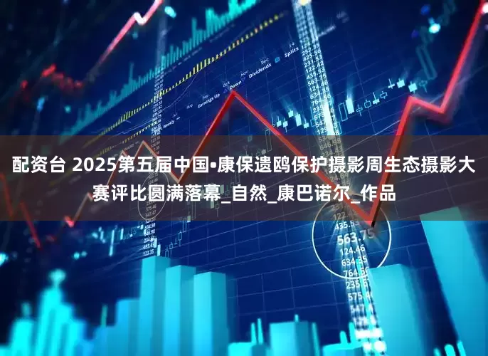 配资台 2025第五届中国•康保遗鸥保护摄影周生态摄影大赛评比圆满落幕_自然_康巴诺尔_作品